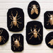 Faux Taxidermy