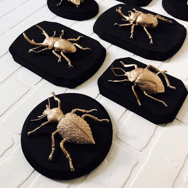 Faux Taxidermy