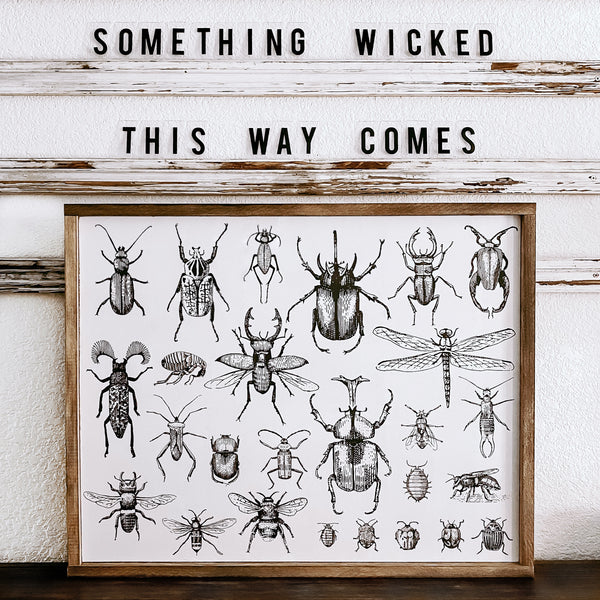 Entomology | Wood