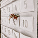 Advent Calendar | Textile
