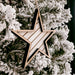 Shiplap Star | White | Ornament